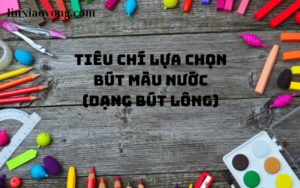 Đánh Giá Các Mẫu Bút Lông Màu (1)